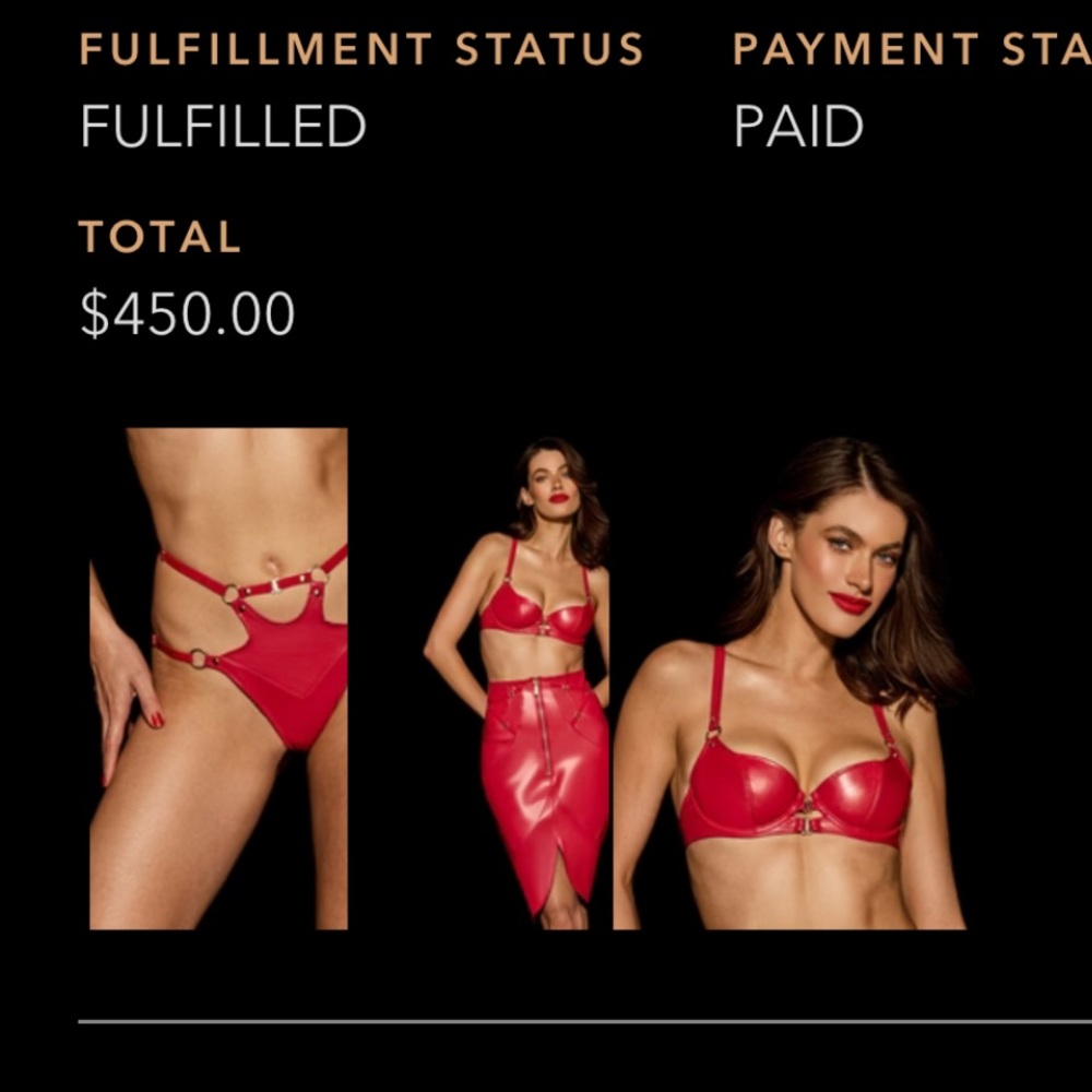 Honey birdette red vegan leather bra and thong and garter set